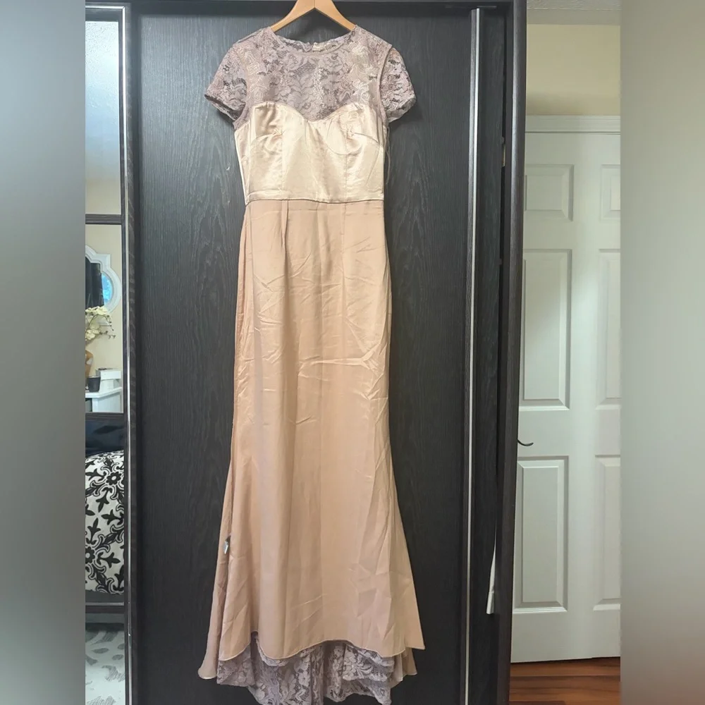 JS Collections Blush Color Lace Gown - Picture 15 of 16